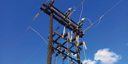 Electrical Engineering Platinum Controls